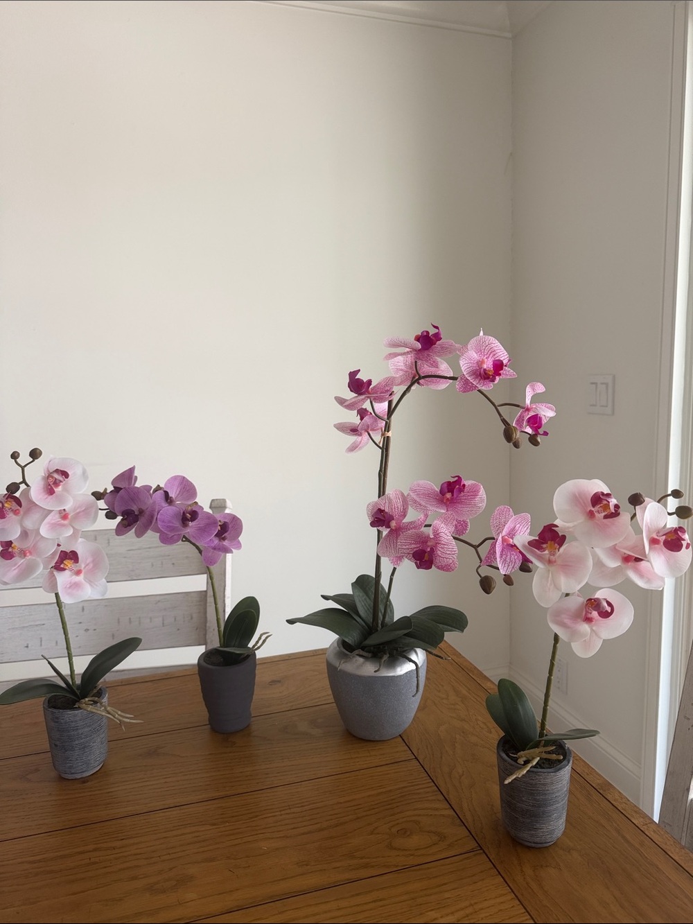 Artificial Phalaenopsis Orchid Arrangement - Pink/Purple